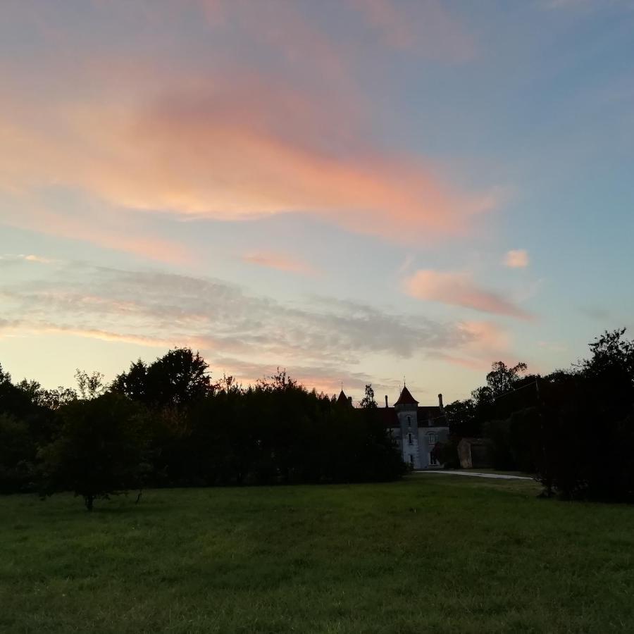 Chateau Des Salles Saint-Fort-sur-Gironde Exteriér fotografie