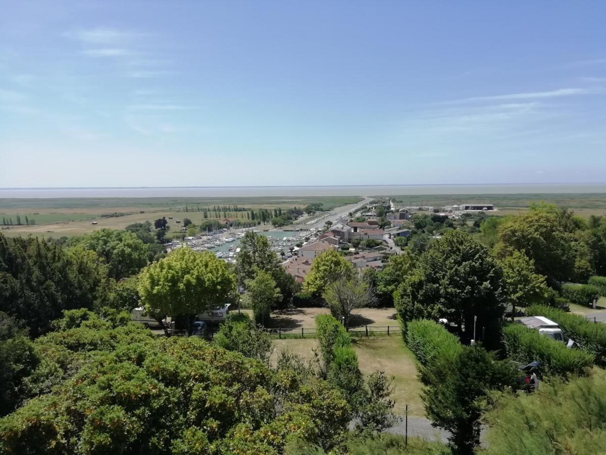 Chateau Des Salles Saint-Fort-sur-Gironde Exteriér fotografie